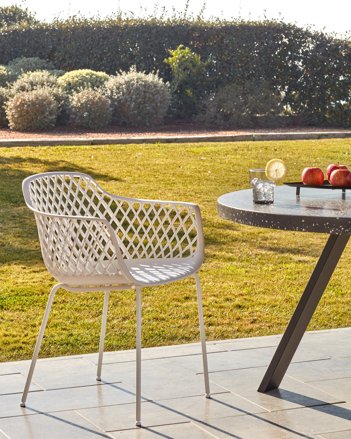 Gertrude-Metal-and-Plastic-Tub-Dining-Chairs-CC1223S