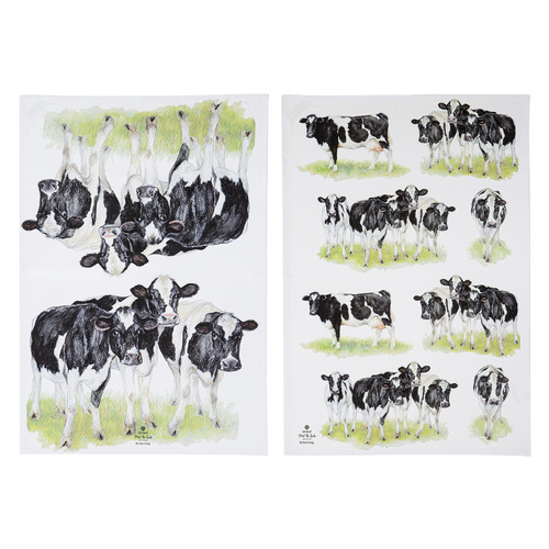 2 Piece Meet The Girls Kitchen Towel Set