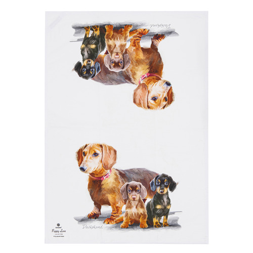 2 Piece Daschund Puppy Love Kitchen Towel Set