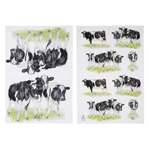 2 Piece Meet The Girls Kitchen Towel Set