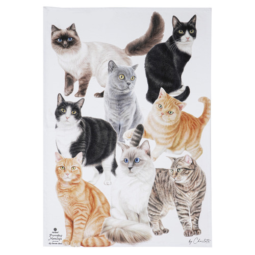 2 Piece Purrrfect Moments Kitchen Towel Set