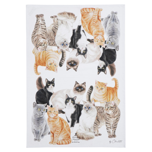 2 Piece Purrrfect Moments Kitchen Towel Set