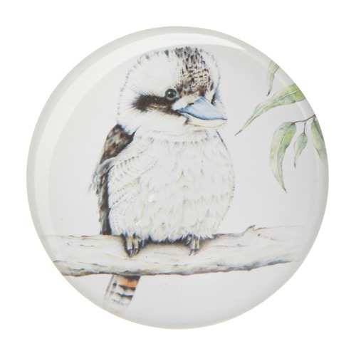6 Piece Bush Buddies Glass Magnet Set