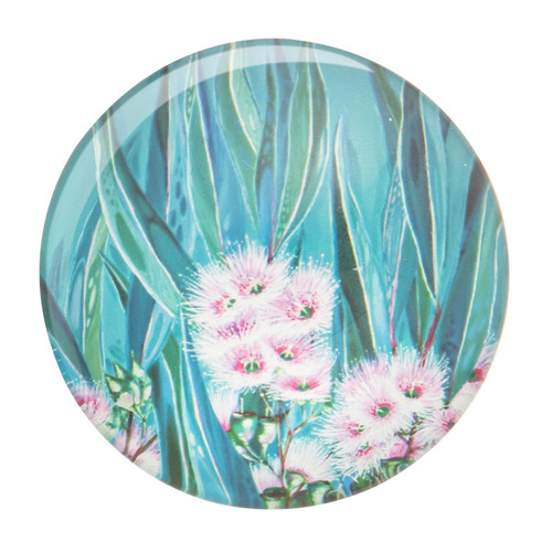 6 Piece Native Flora Magnet Set