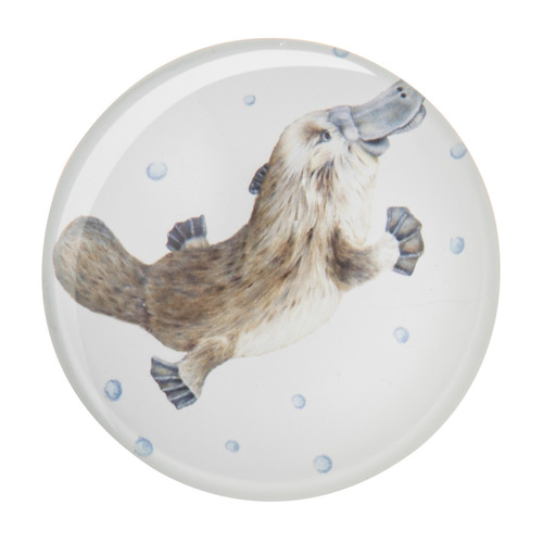 6 Piece Bush Buddies Glass Magnet Set