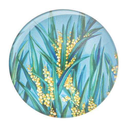 6 Piece Native Flora Magnet Set
