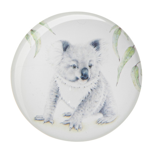 6 Piece Bush Buddies Glass Magnet Set