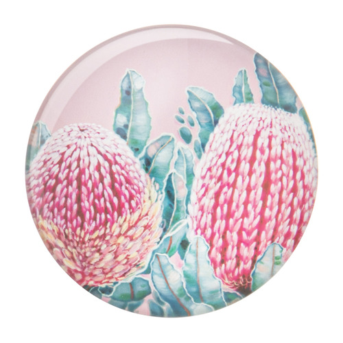 6 Piece Native Flora Magnet Set