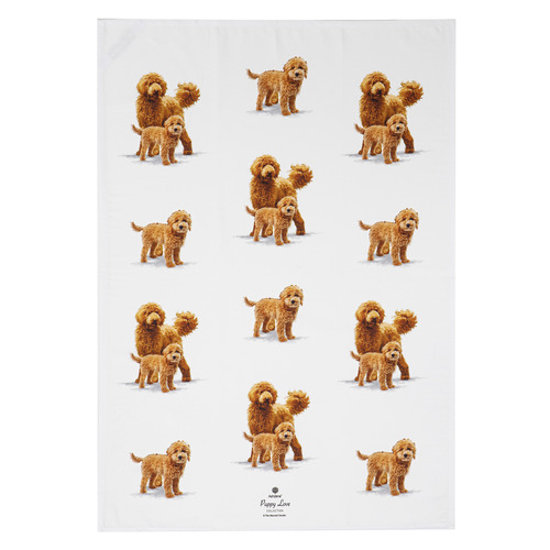 2 Piece Groodle Puppy Love Kitchen Towel Set