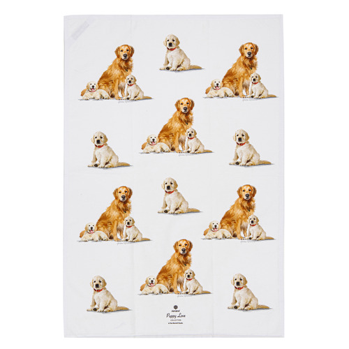 2 Piece Golden Retrieve Puppy Love Kitchen Towel Set