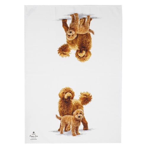 2 Piece Groodle Puppy Love Kitchen Towel Set