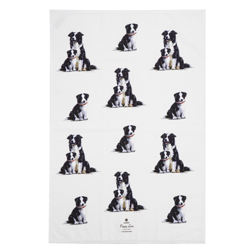 2 Piece Border Collie Puppy Love Border Kitchen Towel Set