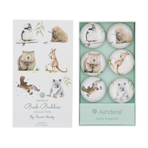 6 Piece Bush Buddies Glass Magnet Set