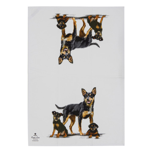 2 Piece Kelpie Puppy Love Kitchen Towel Set
