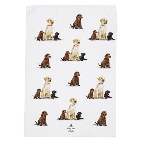 2 Piece Labrador Puppy Love Kitchen Towel Set