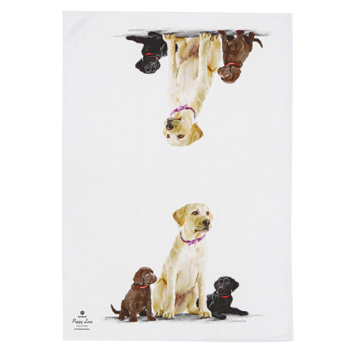 2 Piece Labrador Puppy Love Kitchen Towel Set