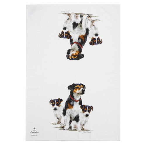2 Piece Jack Russell Puppy Love Jack Kitchen Towel Set