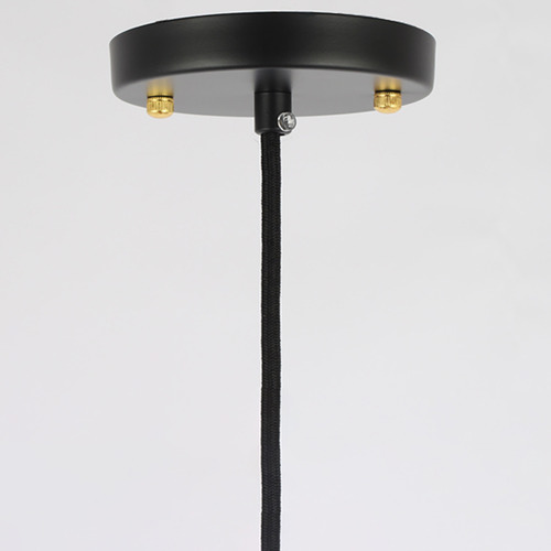 Black Harvey Caged Pendant Light