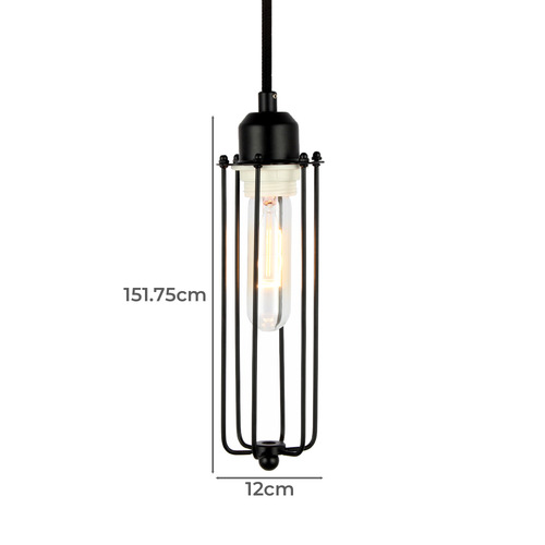 Black Harvey Caged Pendant Light