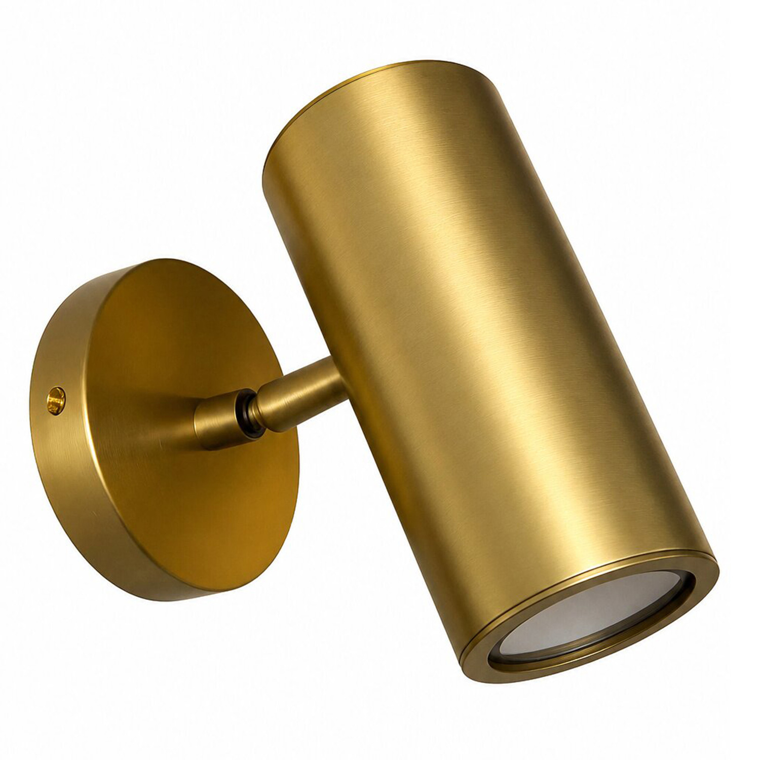 Nakuru Brass Wall Spotlight