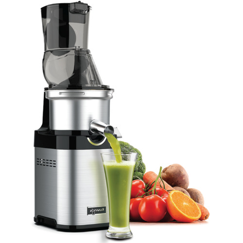 CS700 Commercial Cold Press Juicer Temple & ster