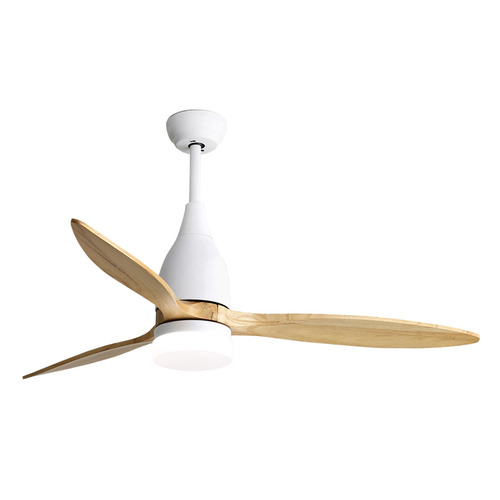 Bethany AC Ceiling Fan with LED | Temple & Webster