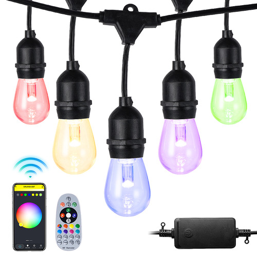 BraxtonHome Yin Smart LED Festoon Lights with Remote Control | Temple ...