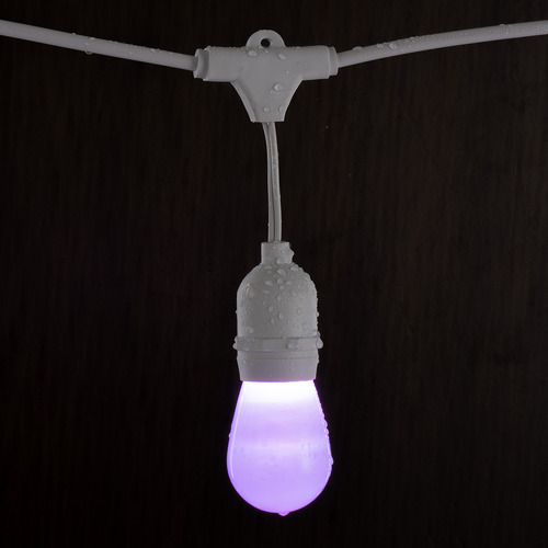Smart LED Outdoor String Lights