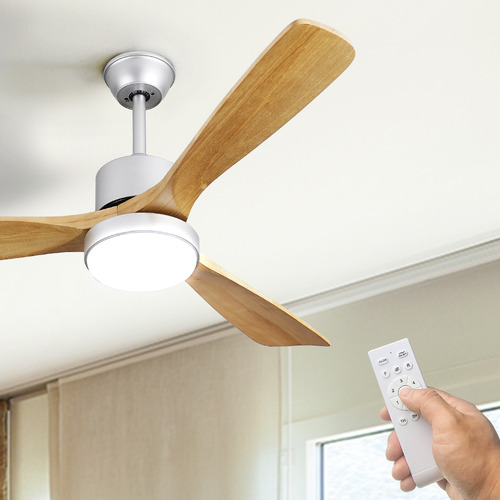 Keegan DC Ceiling Fan with LED