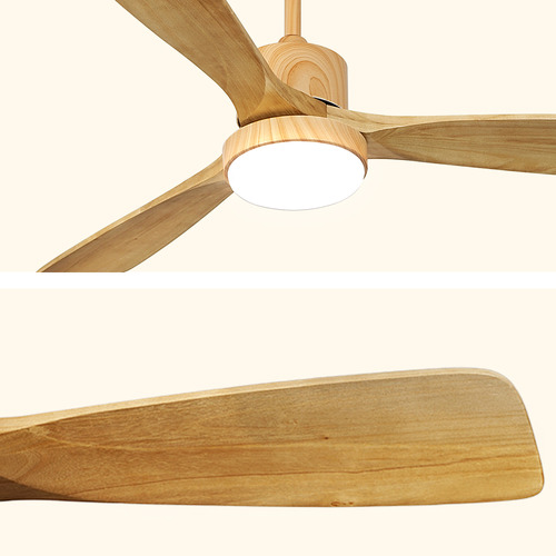 Keegan DC Ceiling Fan with LED