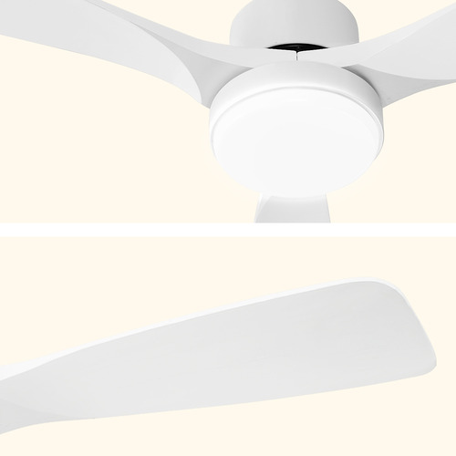 Keegan DC Ceiling Fan with LED