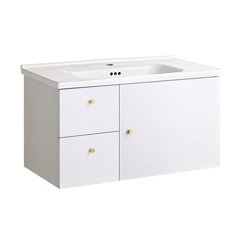 Vesa 800mm Wall Mounted Single Vanity with Basin