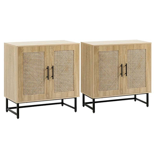 Rendra 2 Door Rattan Shoe Cabinets