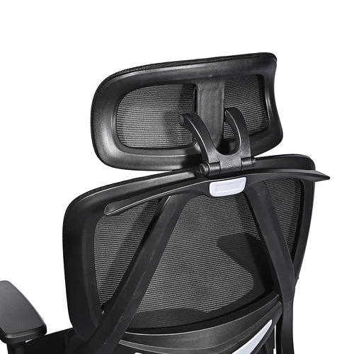 Halyna Mesh Adjustable Office Chair