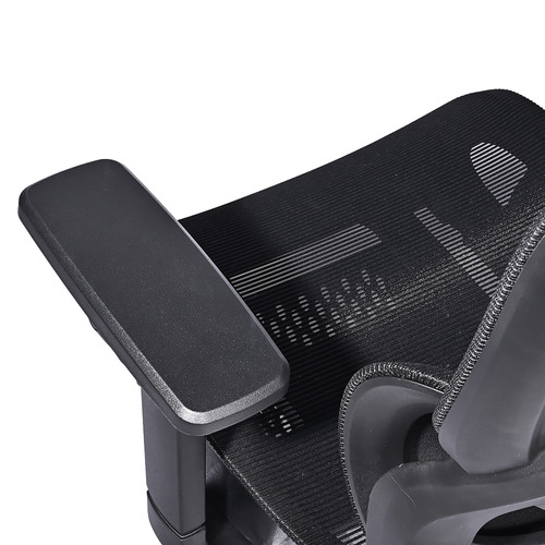 Halyna Mesh Adjustable Office Chair