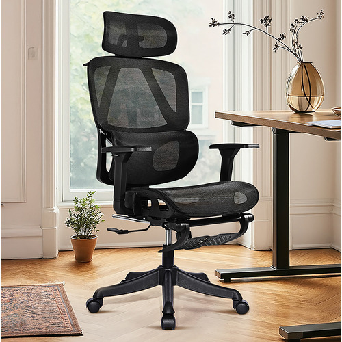 Halyna Mesh Adjustable Office Chair