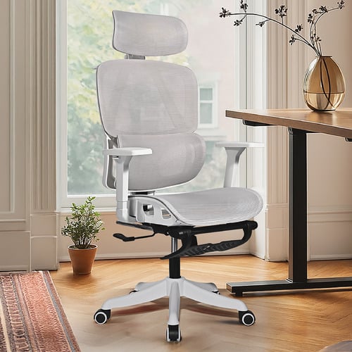 Halyna Mesh Adjustable Office Chair