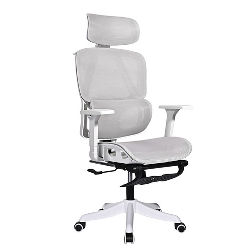 Halyna Mesh Adjustable Office Chair