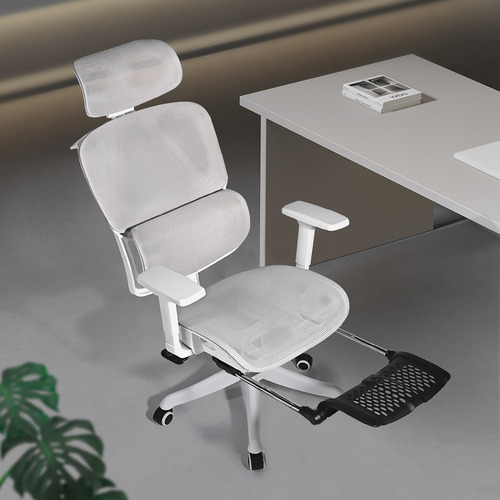 Halyna Mesh Adjustable Office Chair