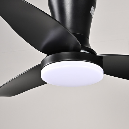 Lorelei DC Ceiling Fan with Light