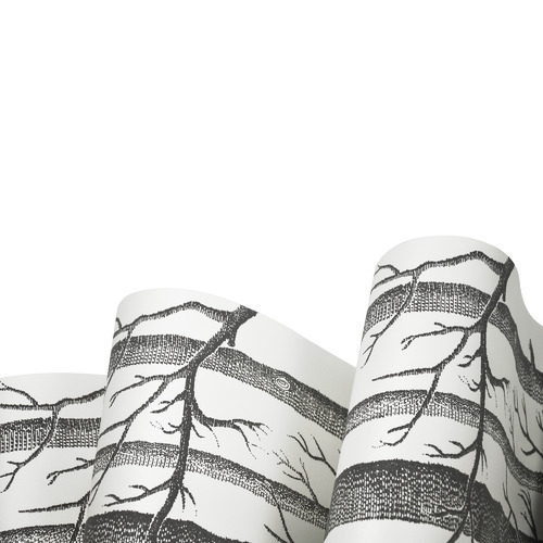 White & Grey Birch Tree Wallpaper