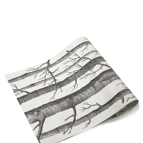 White & Grey Birch Tree Wallpaper