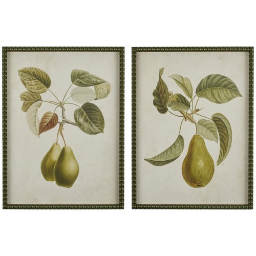 2 Piece Pyrus Framed Printed Wall Art Set