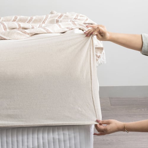 Harlan Organic Cotton Jersey Sheet Set