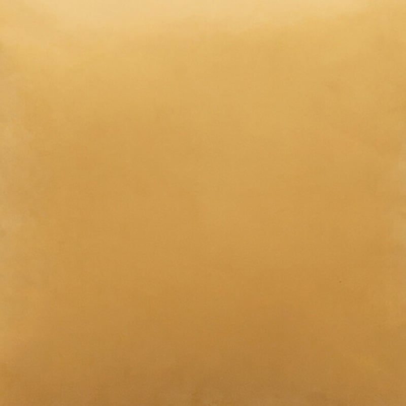 Mireille Rectangular Velvet Cushions