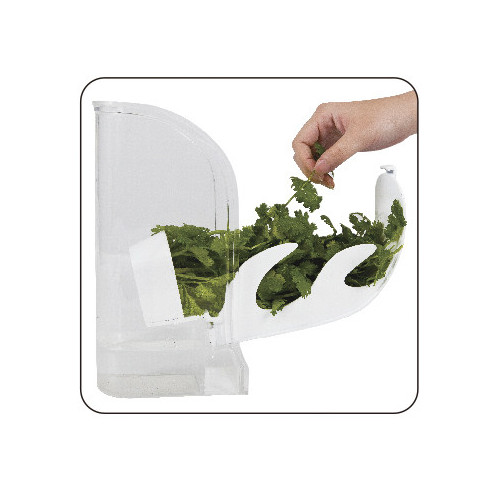 Natura Kitchen Swing Herb Keeper Temple & ster