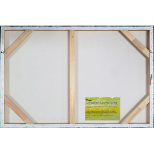 Partial-Light-Canvas-Wall-Art-PT-LAGN-02-C