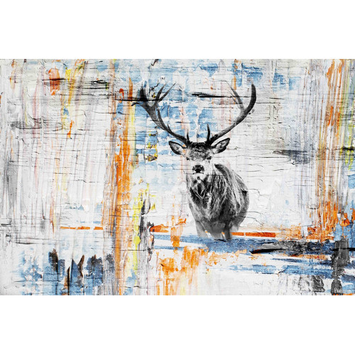 Staring Deer Canvas Wall Art