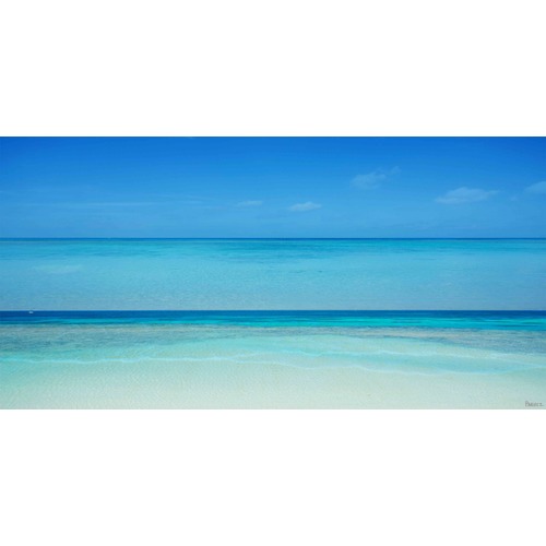 Barley_Cove Clear Blue Art Print on Canvas | Temple & Webster