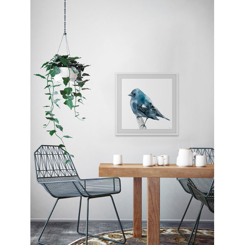 Chubby Blue Bird Framed Printed Wall Art